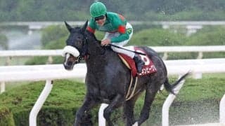 【園田・のじぎく賞結果】ニネンビーグミが抜け出して重賞2勝目