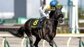 【次走】プリンシパルS覇者セイウンハーデスは幸騎手で日本ダービーへ