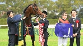 ステルヴィオが登録抹消、乗馬に 新馬Vがロードカナロア産駒のJRA初勝利