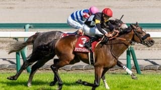 【京都新聞杯】アスクワイルドモアがレコードV