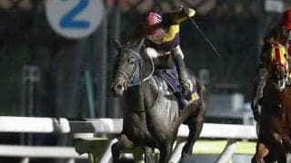 【大井・羽田盃結果】3連単300万超の大波乱 9番人気ミヤギザオウが一冠目奪取