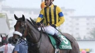 大波乱もあるヴィクトリアマイル。過去に高配当を演出した３パターンから浮上する３頭の穴馬