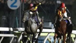【地方競馬】大井・羽田盃の売得金は8億5722万600円で対前年比95.5%