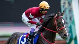 【武豊日記】クライマックス近し