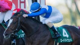 ロードマイウェイが競走馬登録抹消