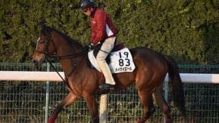 【京王杯SC予想】近走充実、別定54kgならチャンス十分