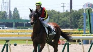 【京都ハイジャンプ予想】渋った馬場への適性は高い、新味発揮で重賞初制覇を狙う