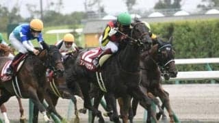 【ヴィクトリアマイル予想】配当も激熱!? 気温上昇で期待できる「注目馬3頭」