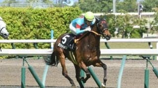 【あずさ賞結果】紅一点セントカメリアが逃げ切り連勝