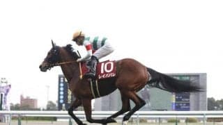 【ヴィクトリアマイル前日オッズ】レイパパレが4.2倍で1番人気、6頭が10倍以下の大混戦