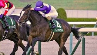 【JRA】2019年チャレンジCを制したロードマイウェイが登録抹消 新天地を求め地方競馬へ