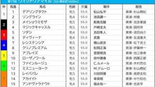 【ヴィクトリアM／前日オッズ】単勝1桁台が6頭の大混戦　単勝4.2倍でレイパパレが1人気