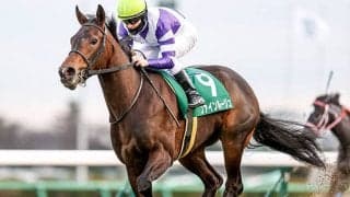 【AI予想・ヴィクトリアマイル】コンビ継続で鬼に金棒!? 世代屈指の「極上マイラー」に妙味あり！