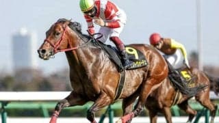 【次走】ヴェントヴォーチェは函館スプリントSで重賞初挑戦 前走リステッド競走をレースレコードで完勝