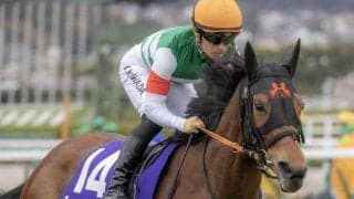 【今日の注目ポイント】女王決定戦ヴィクトリアマイルに豪華メンバー集結