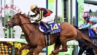 皐月賞を制したジオグリフ。ノド鳴りを抱えながらも陣営が秘める二冠達成への手応え