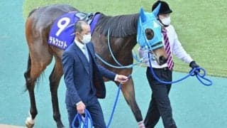 【ヴィクトリアマイル予想】昨年はランブリングアレーを指名！ 7番人気以降の人気薄で好走可能な条件とは？