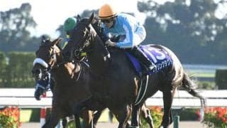 【ヴィクトリアマイル・馬体重】デアリングタクトは486kg(+22)、レイパパレは440kg(+6)