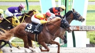 【青竜S】ハセドンが3連勝！直線一気炸裂