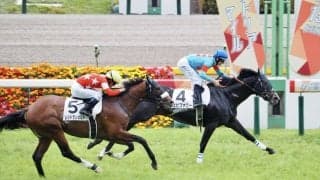 【東京5R】断然人気 エピファニーが快勝