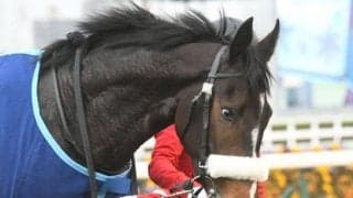 3歳女王決定戦オークス、帝王賞へのステップ・平安S/今週の競馬界の見どころ