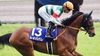 【ヴィクトリアマイル】川田「申し訳なく思います」レース後ジョッキーコメント