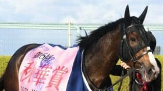 【先週のJRA抹消馬】秋華賞馬アカイトリノムスメ、マイルCSステルヴィオ、チャレンジC覇者ロードマイウェイなど