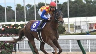 【平安S想定騎手】テーオーケインズは松山弘平騎手、オーヴェルニュは福永祐一騎手