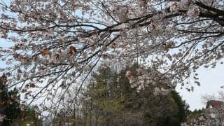 Jプロツアー第4戦・群馬CSCロードレース4月大会DAY1