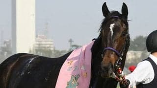 【AI予想・オークス】前走勝利に大きな価値！ 混戦を断つのは「あの有力馬」？