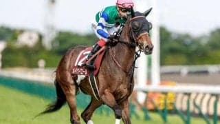 注目の種牡馬ミッキーアイル ディープ＆カナロアに並ぶ〇〇とは？