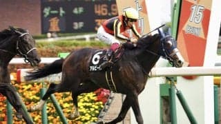 【緑風S】ジオグリフ半兄 アルビージャがオープン入り