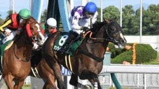 【平安S展望】時期変更後は実績馬優位の傾向が強くなっている