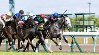 【都大路S】シフルマンがオープン初勝利