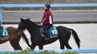 ラスハンメルなど、先週のゲート試験/栗東トレセンニュース