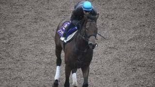 ダノンザキッドなど、先週の入厩情報/栗東トレセンニュース