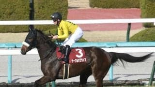 【オークス予想オッズ】2歳女王サークルオブライフが予想1番人気