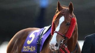 【JRA】2020年アンタレスSを制したウェスタールンドが登録抹消 乗馬へ転用