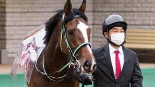 【オークス展望】3歳女王決定戦、キャリア数が多い馬は苦戦傾向
