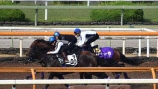 ドウデュース、日本ダービー1週前追い切り速報/栗東トレセンニュース