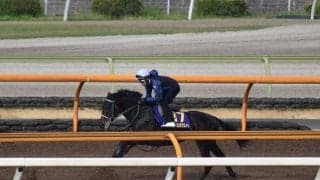 ピースオブエイト、日本ダービー1週前追い切り速報/栗東トレセンニュース