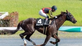 【三河S】良血スレイマンが3連勝でオープン入り