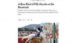 日本のアイドル馬ソダシ、米紙NYタイムズが異例の特集「日本競馬のセンセーションに」