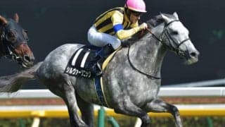 【次走】シルヴァーソニックは目黒記念へ 前走の天皇賞・春では空馬のままゴール