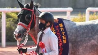 【次走】メイショウミモザはクイーンSへ 今年4月に重賞初挑戦初勝利