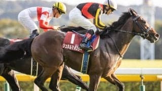 【安田記念想定】昨年3着シュネルマイスター、フェブラリーS連覇カフェファラオなど