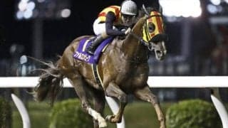 【川崎マイラーズ結果】ファルコンビークが快勝 地元川崎所属馬は同レース初V