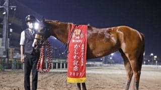 【次走】ショウナンナデシコは帝王賞かスパーキングレディーCへ かしわ記念で牡馬撃破