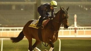 【次走】ヴァンドギャルドは安田記念へ 鞍上は2年ぶりにコンビを組む岩田望来騎手