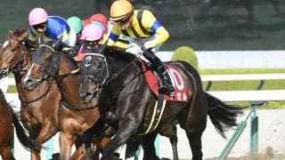 21年の阪神牝馬S覇者デゼルが引退 左前肢浅屈腱炎のため